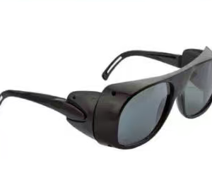 2010 protective goggles